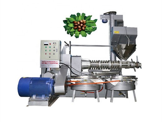 Presse à Huile électrique Automatique – Pressage Chaud/froid, Acier Inox 304, 820W, 3-6 Kg/h