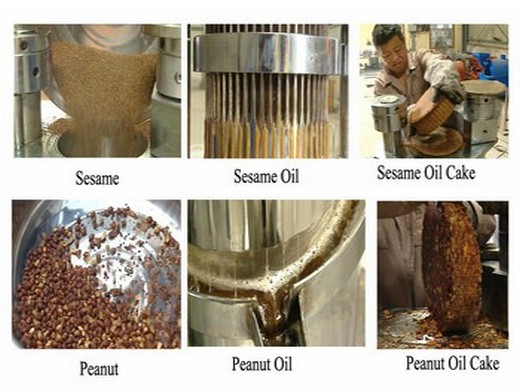 l’extraction d’huile d’arachide est largement utilisée dans la production d’huile d’arachide